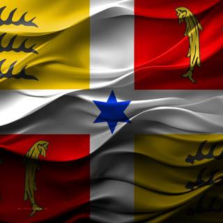 Flag Of Montbeliard