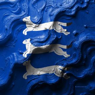 Flag Of South Ostrobothnia