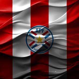 Paraguay National Football Team