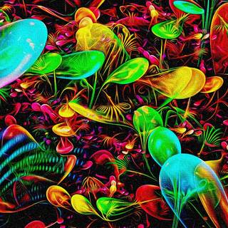 Colorful Mushrooms Grow Together In A Field