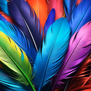 Colorful Feathers