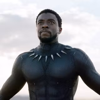 King of Wakanda 