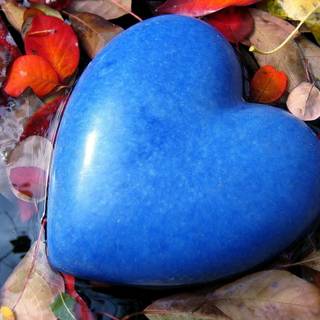 piatră albastră lucioasă în formă de inimă așezată printre frunze de toamnă căzute și umede