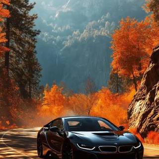 autumn bmw 