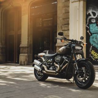 harley-davidson | 10k