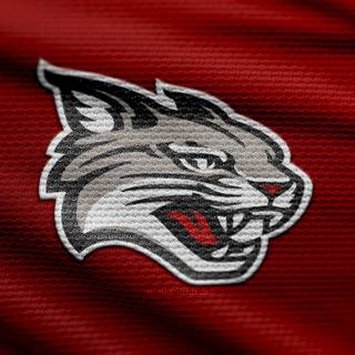Davidson Wildcats