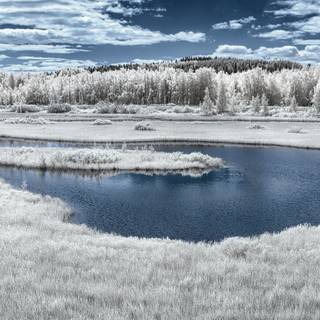 Infrared Landscape Finnish Wetland