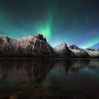 Northern Lights
