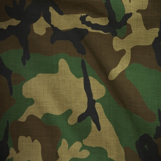 Camouflage 