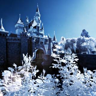 Sleeping Beauty Castle Winter