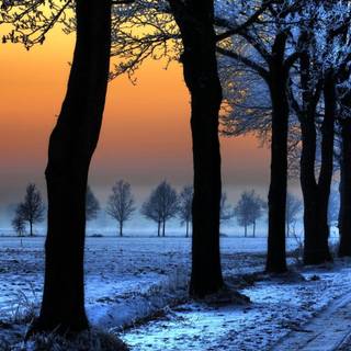 Winter Landscape With Orange Sky