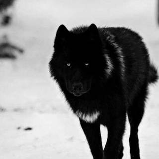 So majestic and perfect.