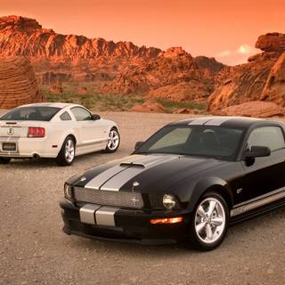 Ford Mustang Shelby GT500 din 2007