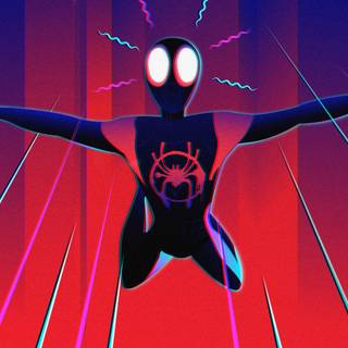 Spiderman (Into the spiderverse) 
