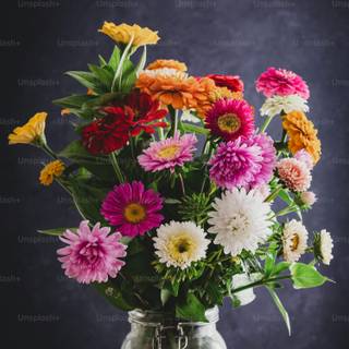 from mi mama and mi zero 