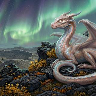 Celtic Dragon