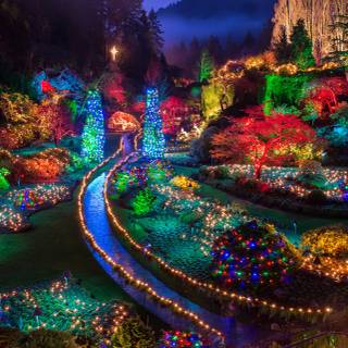 Canada Christmas Lights