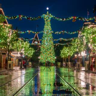Christmas tree in California