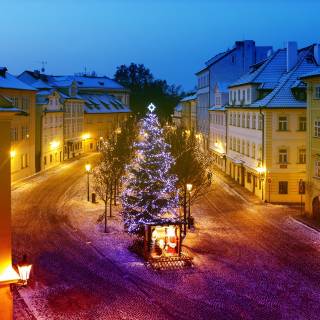 Christmas tree in Czech Republic