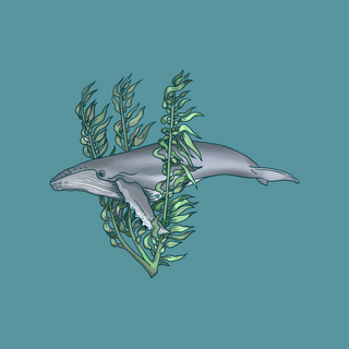 Whale 