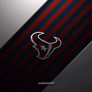 Houston Texans