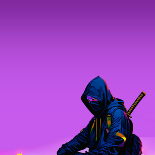 Ninja 