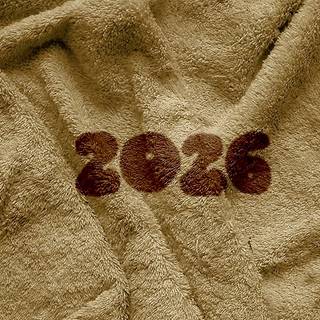Text on towel 2026