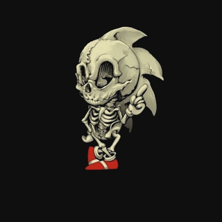 Sonic Skeleton 