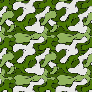 Camo