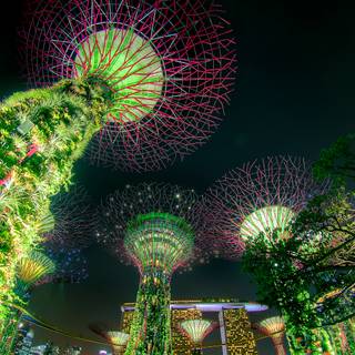 Singapore Supertree Grove Green Night Lights