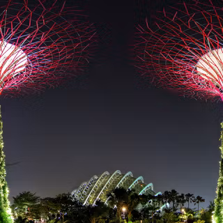 Spectacular Supertrees Singapore