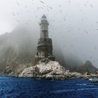 Seagulls Over Foggy Aniva Lighthouse