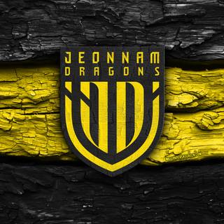Jeonnam Dragons