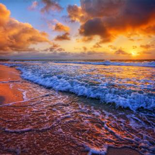 Poster Beautiful sunrise over the sea