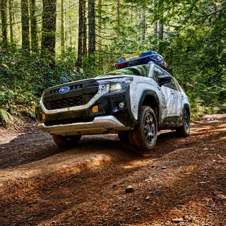 Subaru Forester Wilderness