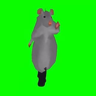 Rat dance