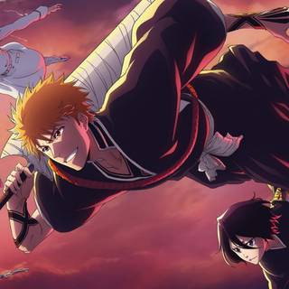 Bleach