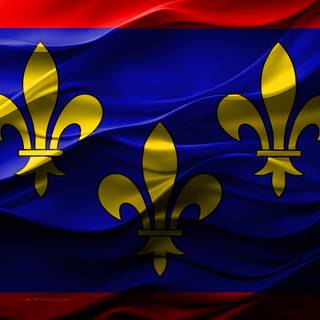 Flag Of Anjou