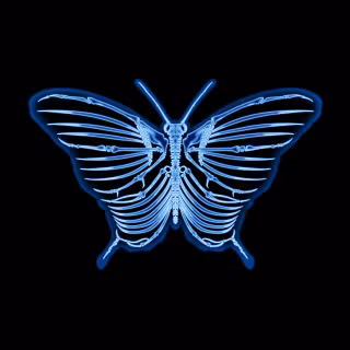 Neon Butterfly 