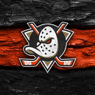 Anaheim Ducks