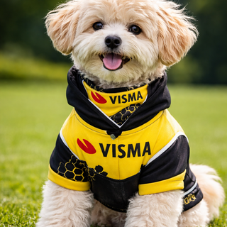 visma