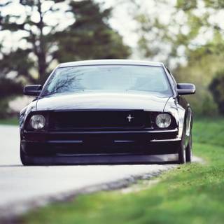 Ford Mustang S197