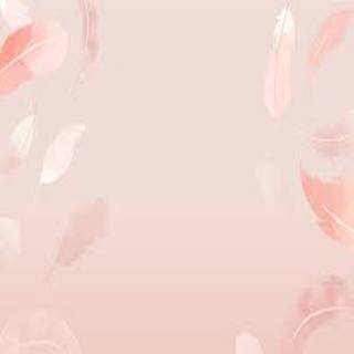 pastel pink background