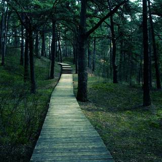 Working with government to set health and nature initiatives