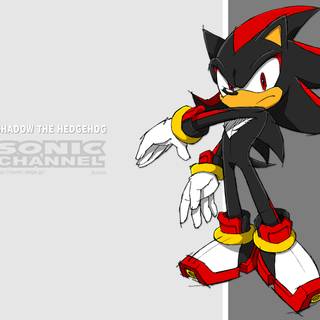 Shadow
