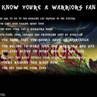 warrior cats fan