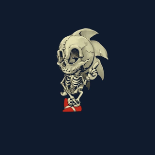 Sonic Skeleton 