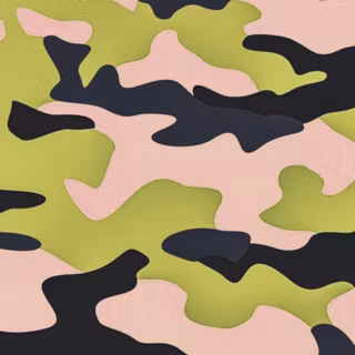 Camouflage 