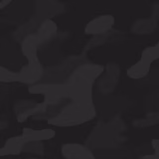 Camouflage 