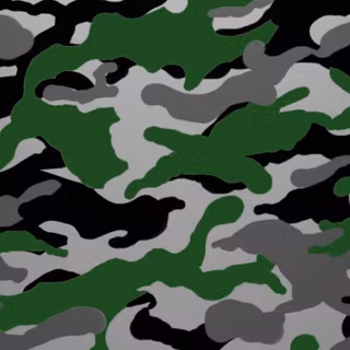 Camouflage 